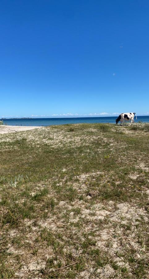 Bo I Egen Stuga Pa Haerlig Oelandsgard Köpingsvik Exterior foto