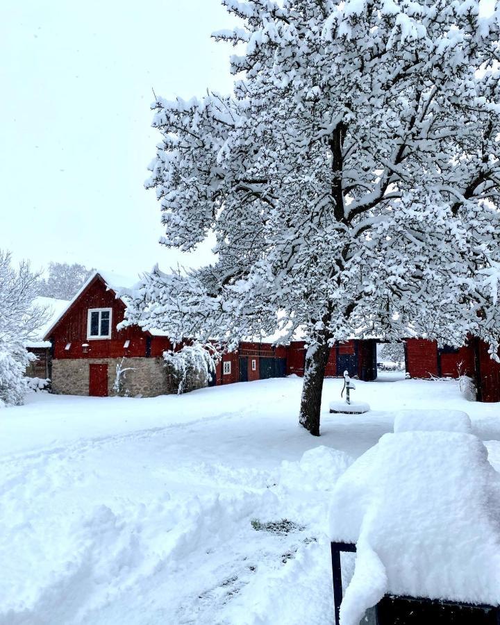 Bo I Egen Stuga Pa Haerlig Oelandsgard Köpingsvik Exterior foto